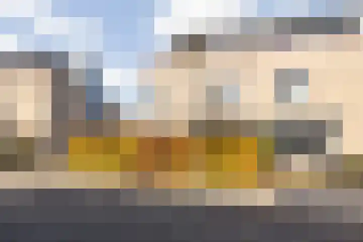Klaverblauwtje 4 Breda thumbnail 33