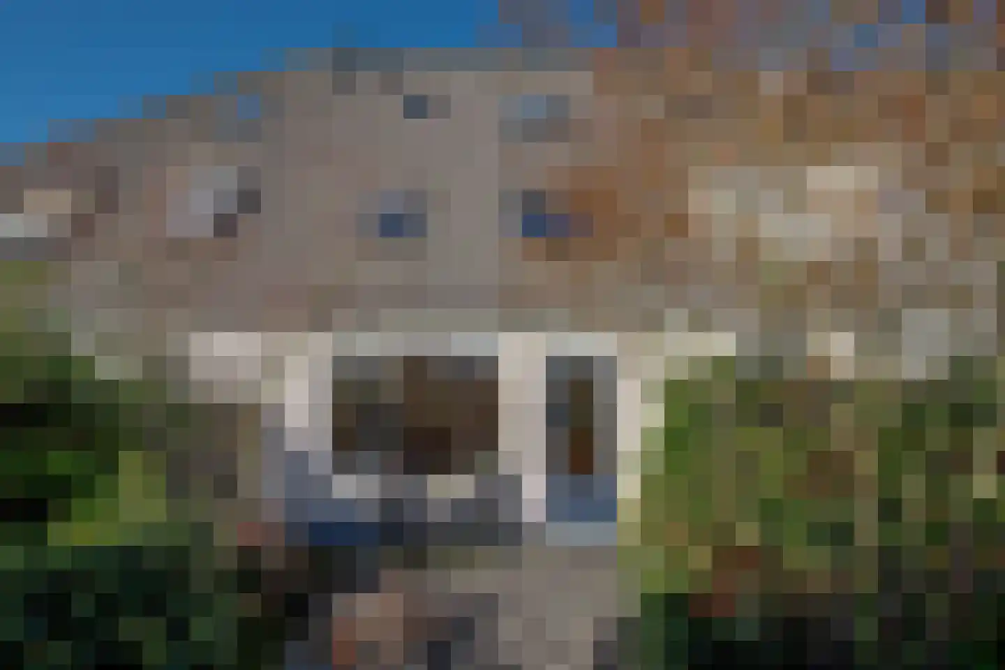 Klaverbouw 15 Hoogkarspel thumbnail 15