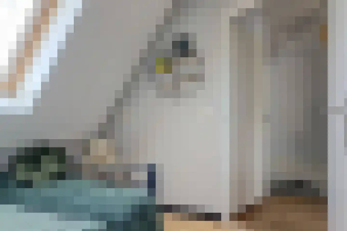 Klaverbouw 19 Hoogkarspel thumbnail 34