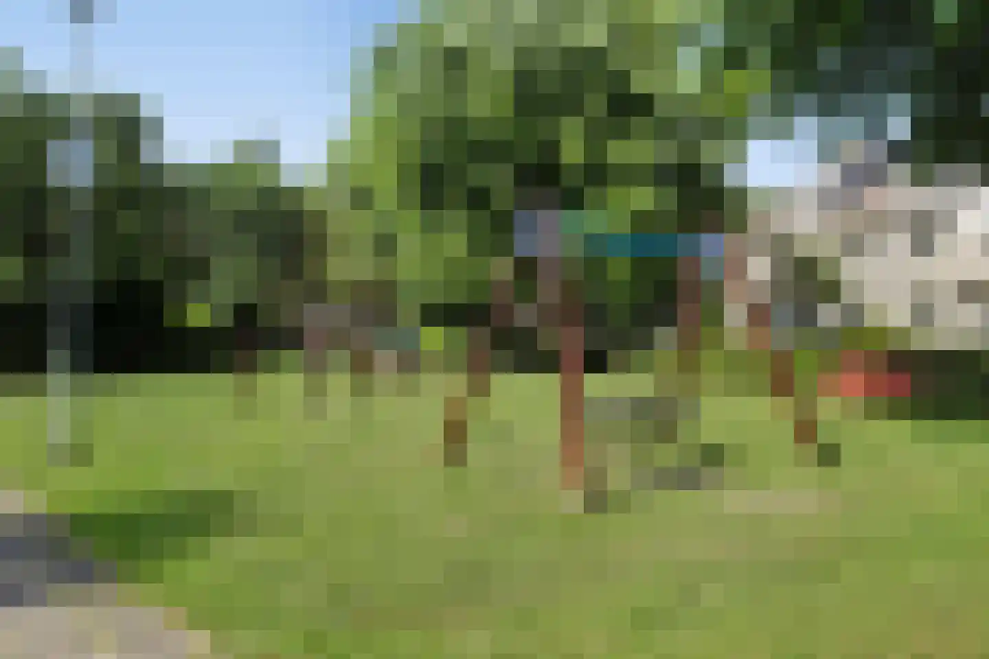 Klaverbouw 19 Hoogkarspel thumbnail 40