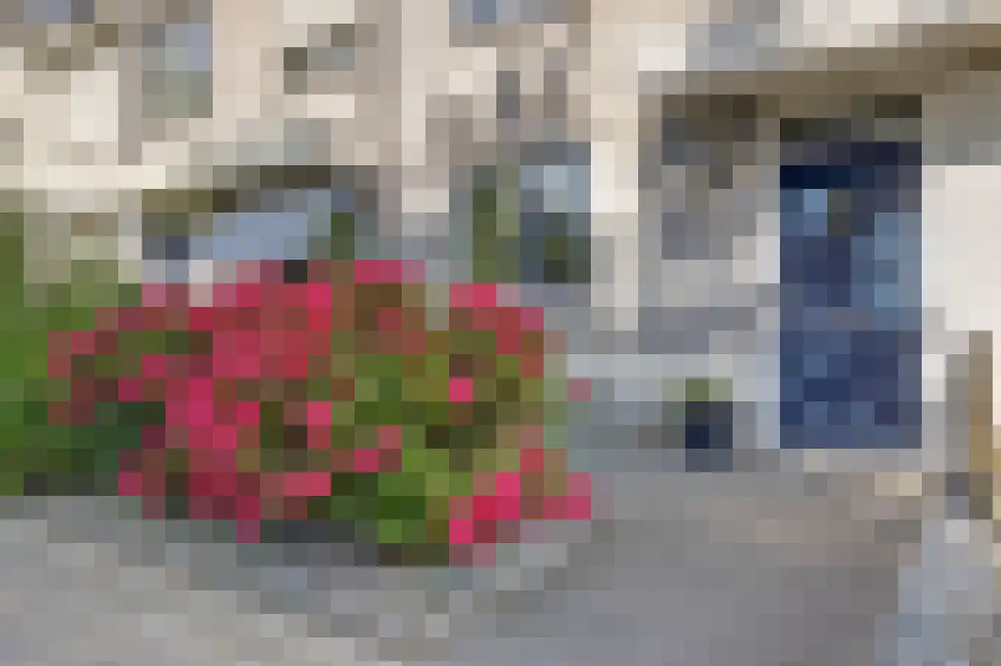 Klaverbouw 19 Hoogkarspel thumbnail 6