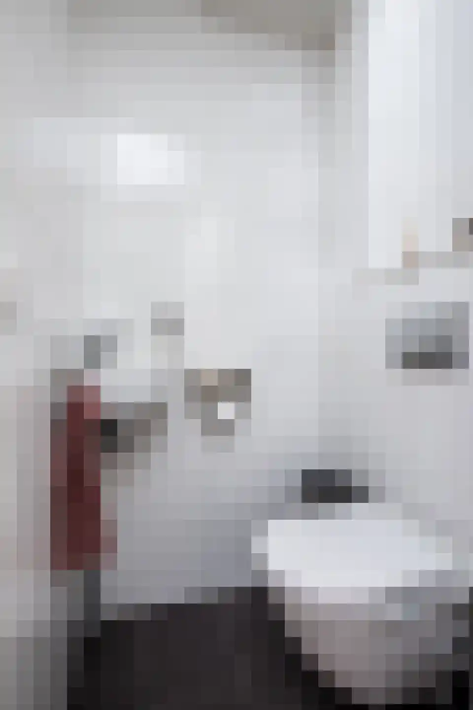 Klaverbouw 23 Hoogkarspel thumbnail 43