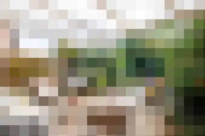 Klaverdreef 4 Doetinchem thumbnail 13