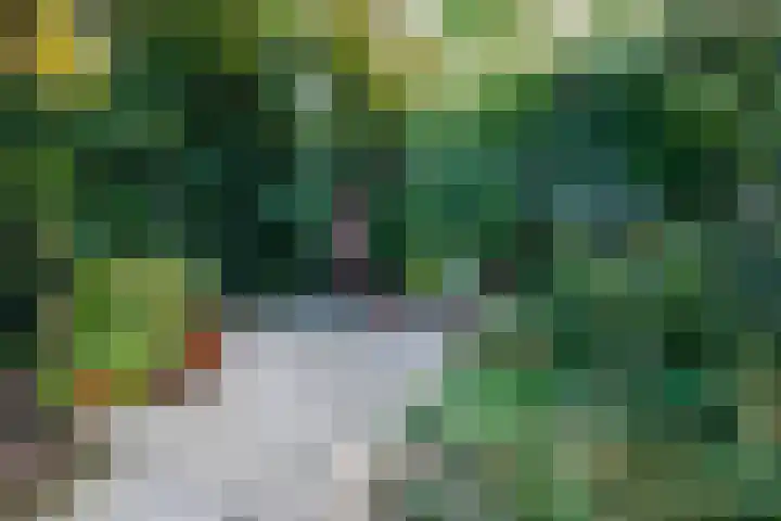 Klaverdreef 4 Doetinchem thumbnail 16