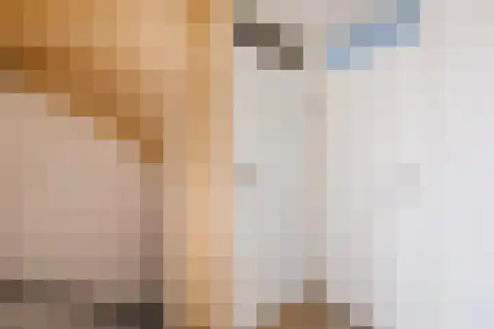 Klaverdreef 4 Doetinchem thumbnail 32