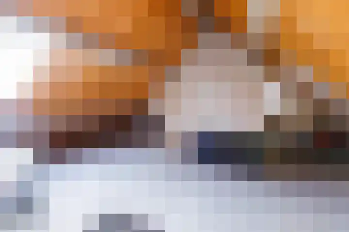 Klaverdreef 4 Doetinchem thumbnail 34