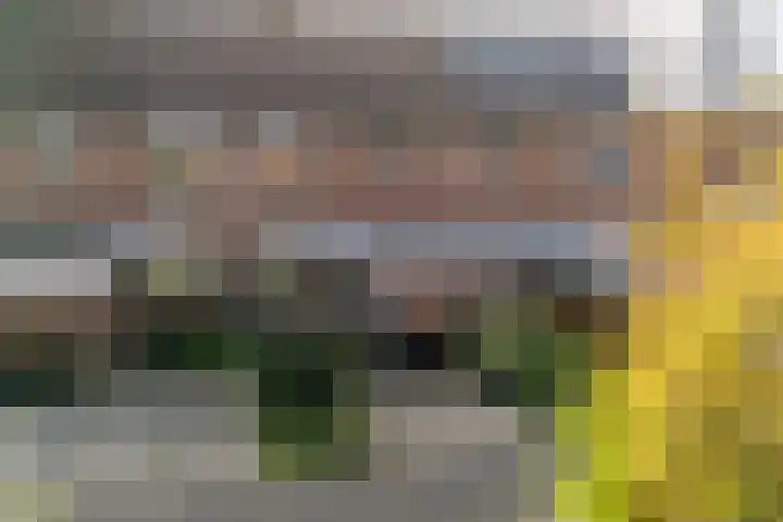 Klaverdreef 4 Doetinchem thumbnail 36