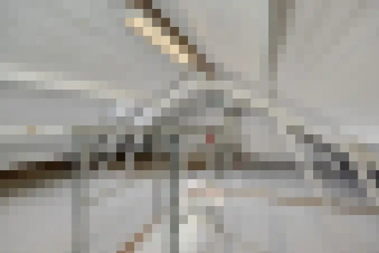 Klaverdries 10 Berlicum thumbnail 18