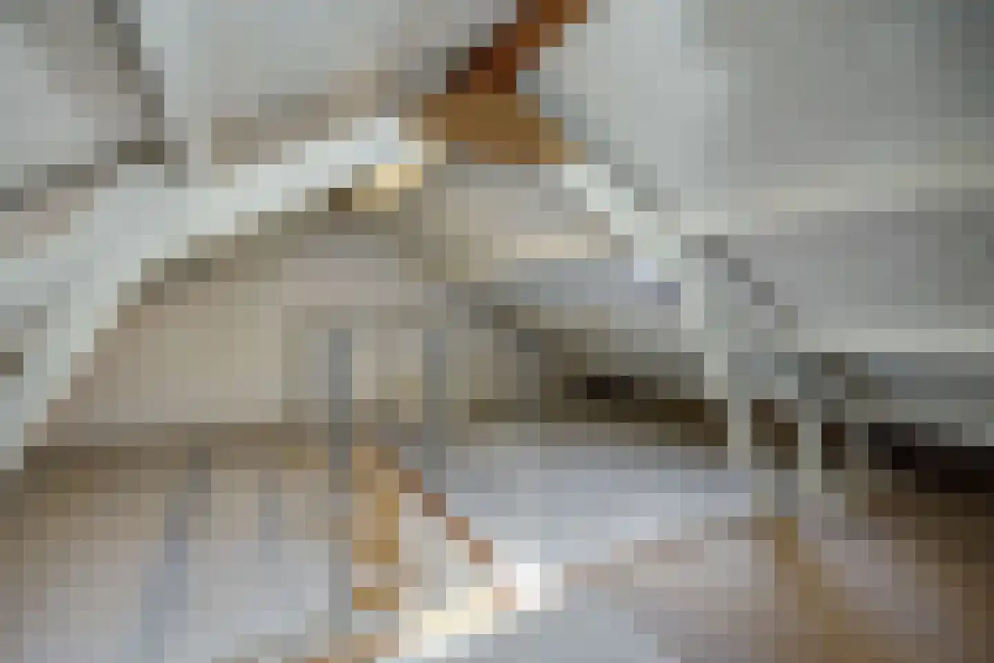 Klaverdries 10 Berlicum thumbnail 19