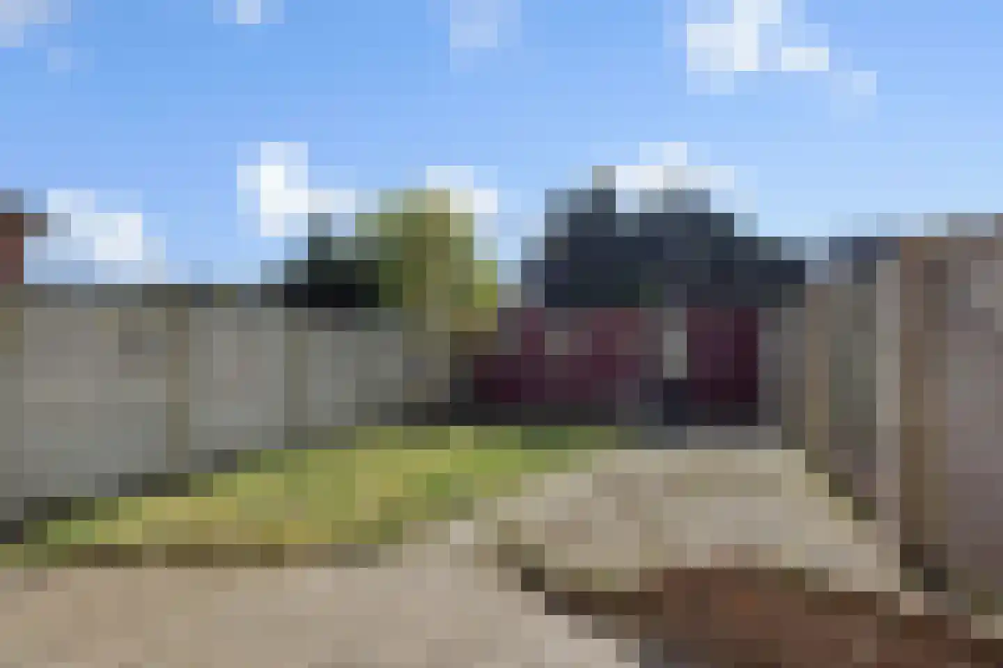 Klaverdries 10 Berlicum thumbnail 20