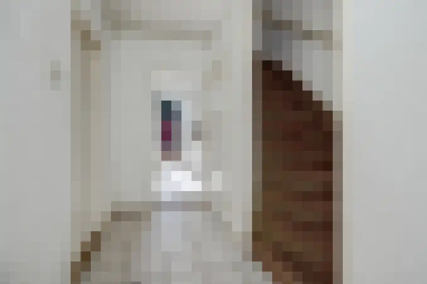 Klaverdries 10 Berlicum thumbnail 4