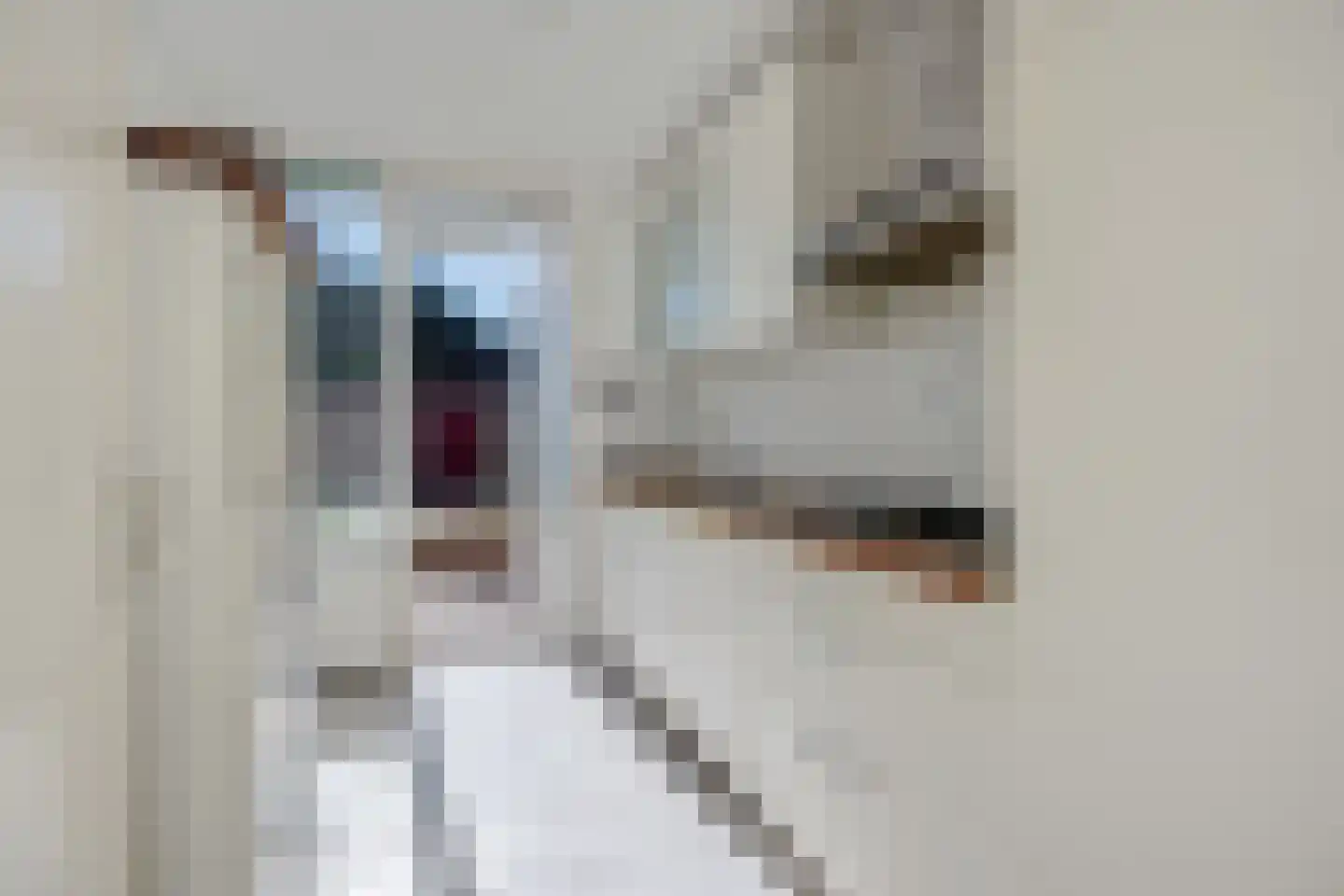 Klaverdries 10 Berlicum thumbnail 7