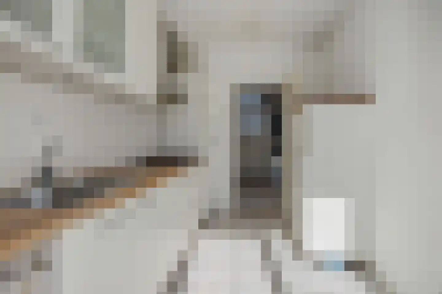 Klaverdries 10 Berlicum thumbnail 8