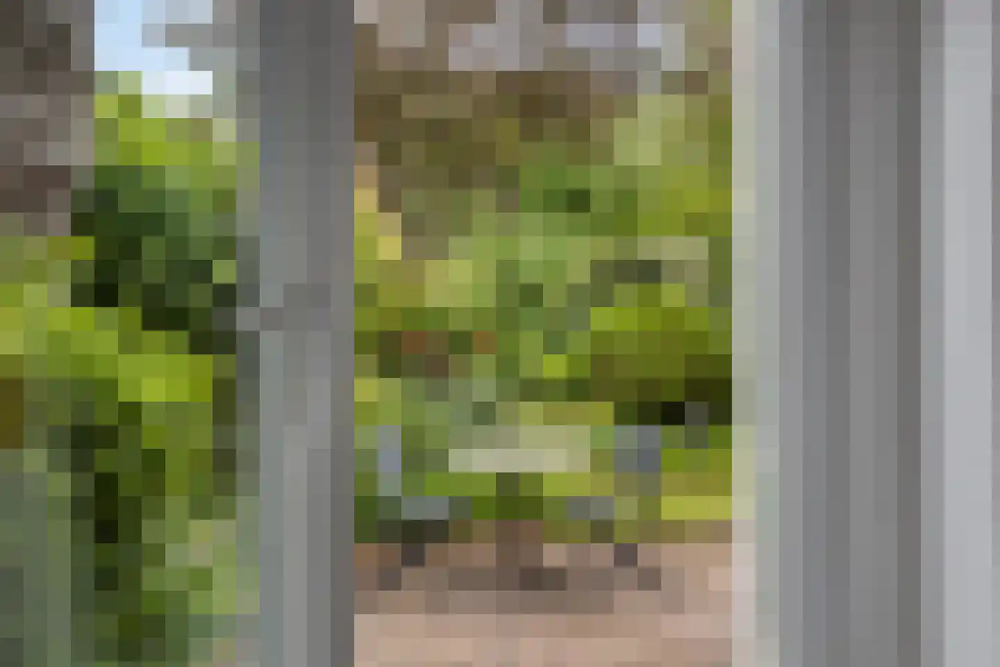 Klavergriend 15 Almere thumbnail 15