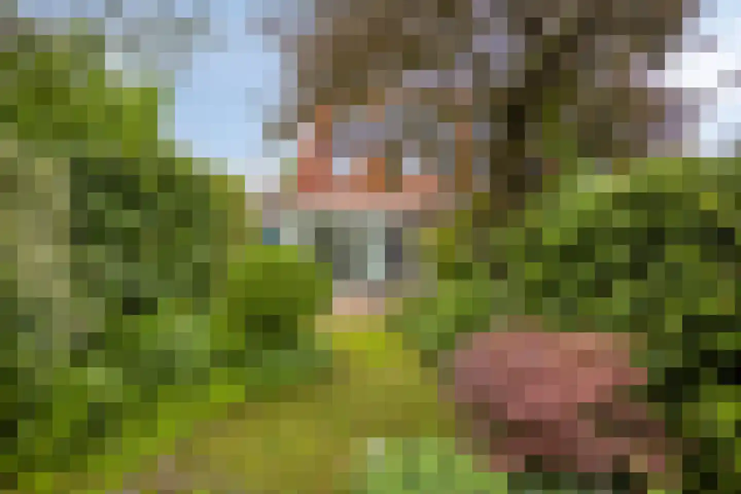 Klavergriend 15 Almere thumbnail 28