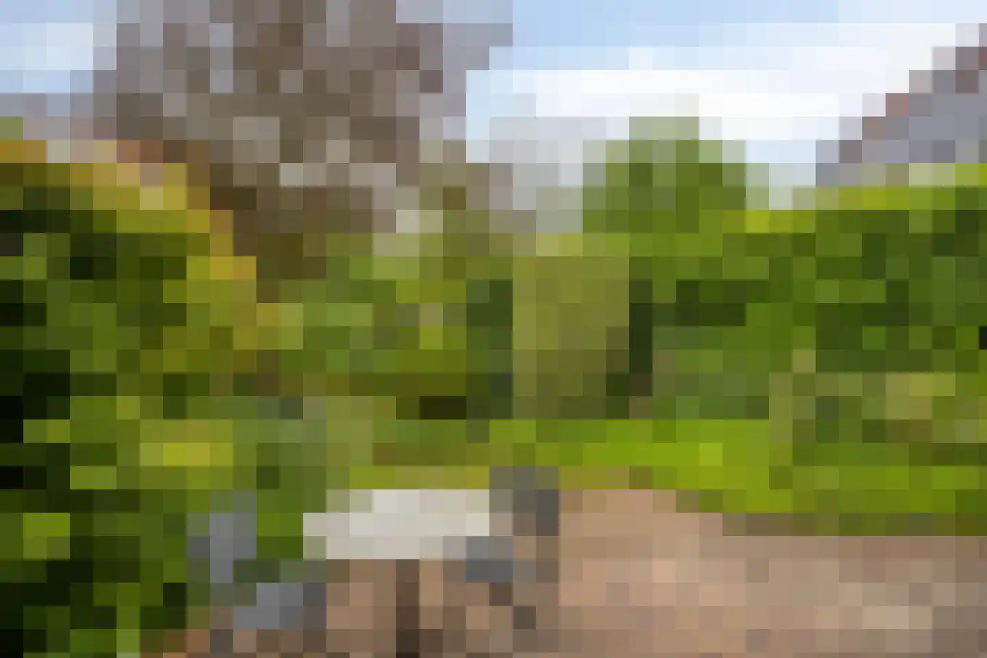 Klavergriend 15 Almere thumbnail 30
