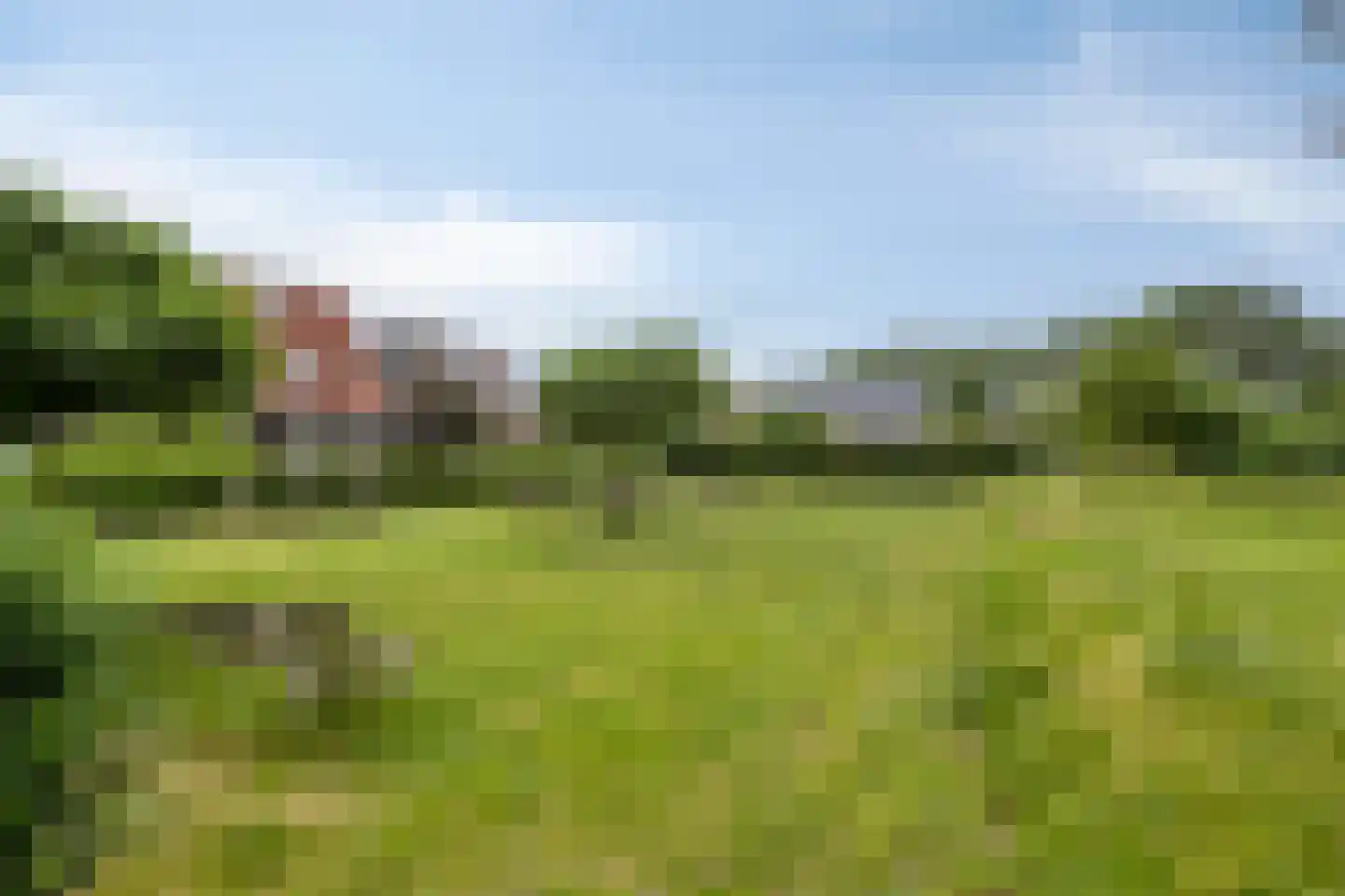 Klavergriend 15 Almere thumbnail 33