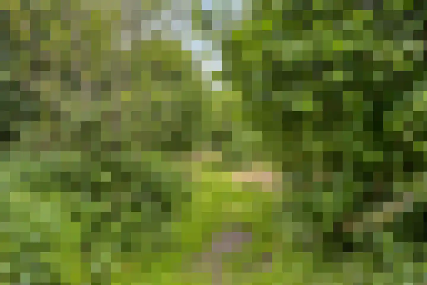 Klavergriend 15 Almere thumbnail 38