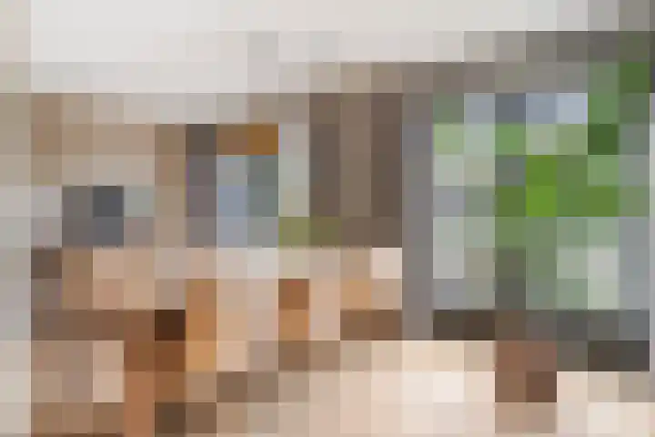 Klavergriend 19 Almere thumbnail 15