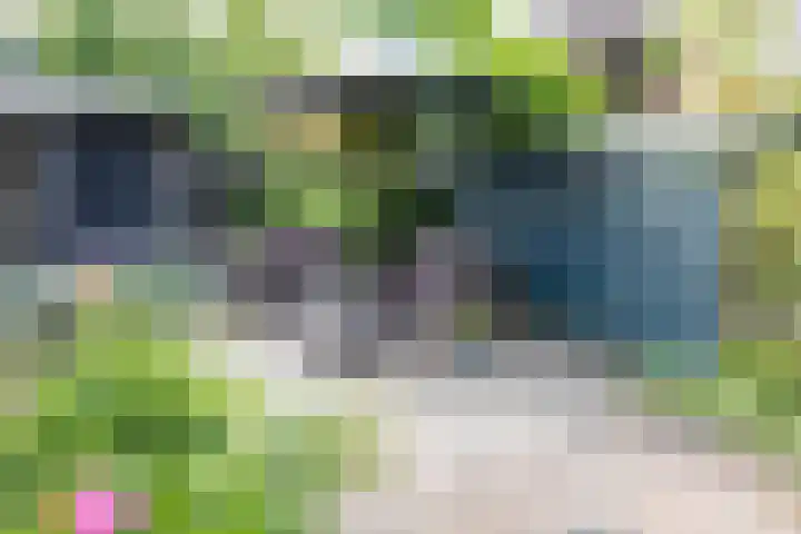 Klavergriend 19 Almere thumbnail 22