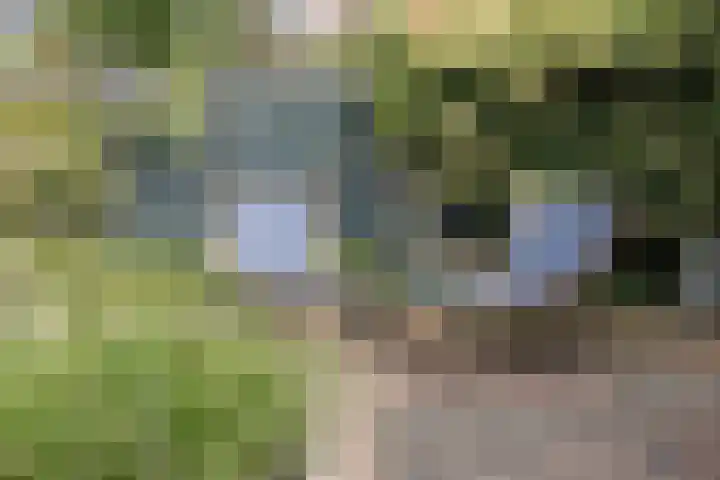 Klavergriend 19 Almere thumbnail 24
