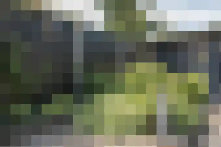 Klavergriend 19 Almere thumbnail 25