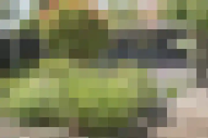 Klavergriend 19 Almere thumbnail 26