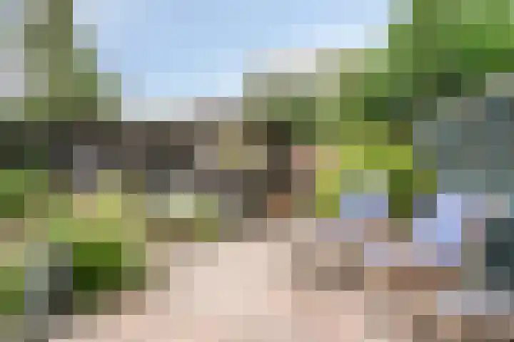 Klavergriend 19 Almere thumbnail 28
