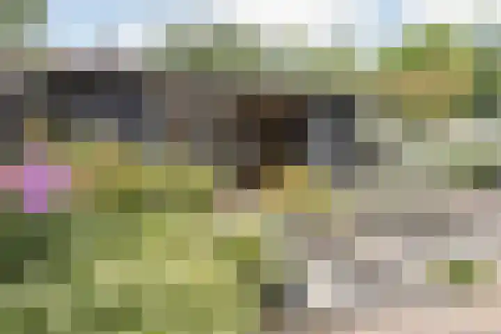 Klavergriend 19 Almere thumbnail 29