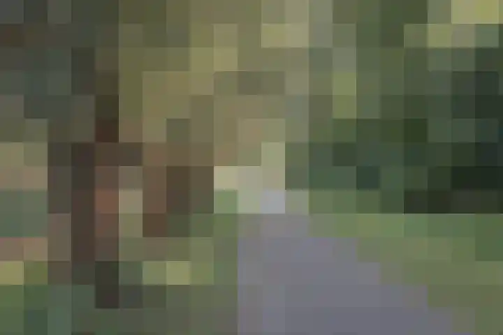 Klavergriend 19 Almere thumbnail 64