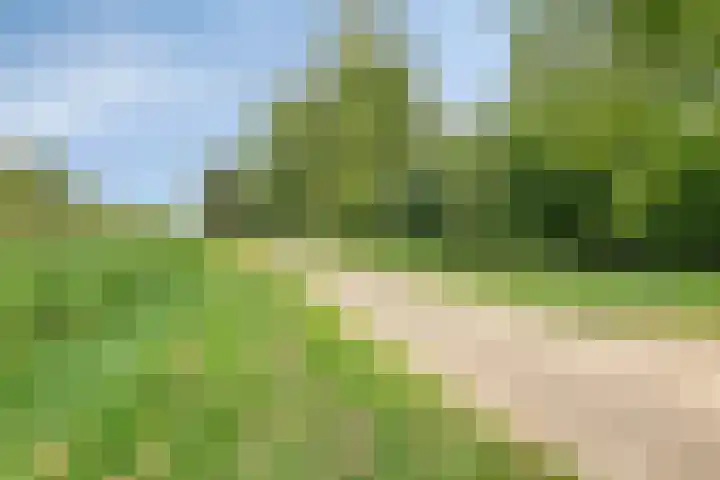 Klavergriend 19 Almere thumbnail 66