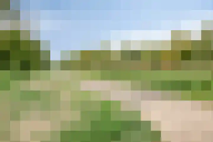 Klavergriend 19 Almere thumbnail 67
