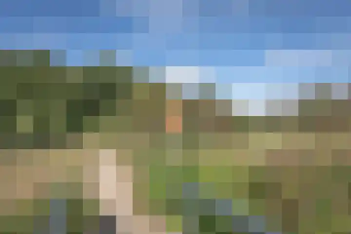 Klavergriend 19 Almere thumbnail 68