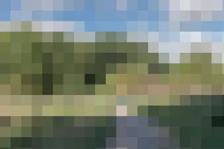 Klavergriend 19 Almere thumbnail 69