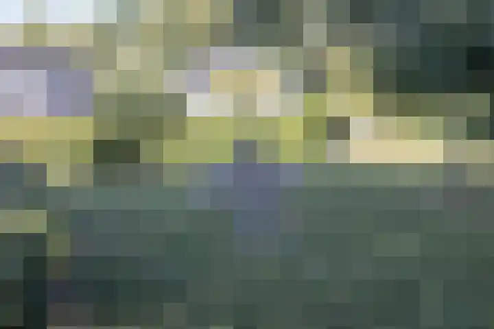 Klavergriend 19 Almere thumbnail 71