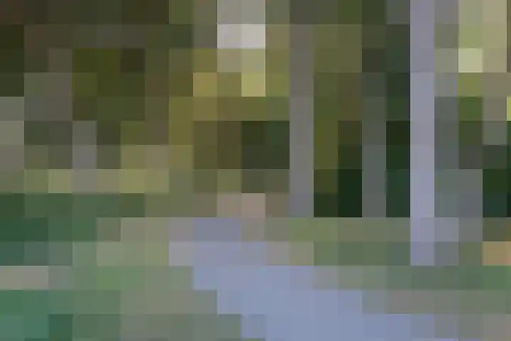 Klavergriend 19 Almere thumbnail 72