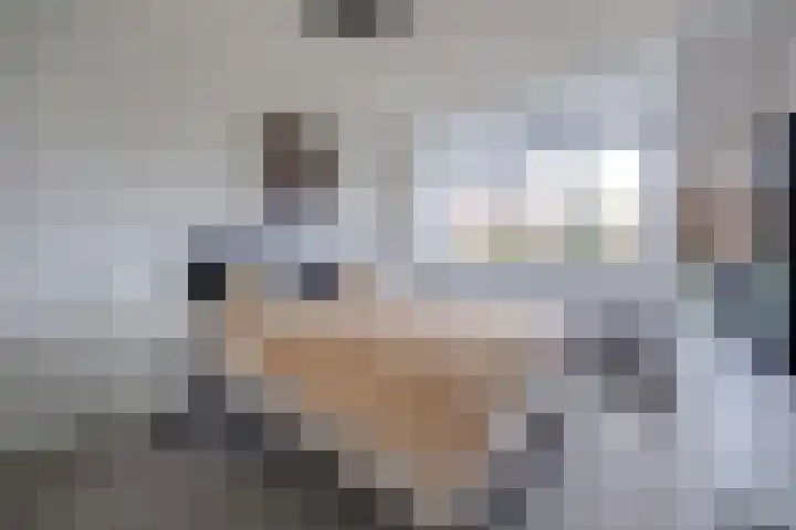 Klavergriend 29 Almere thumbnail 24