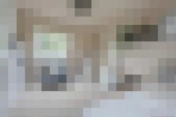 Klavergriend 29 Almere thumbnail 28