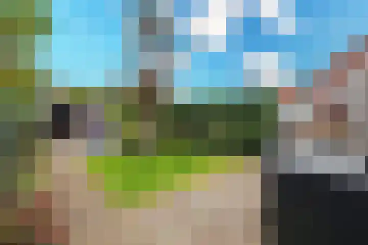 Klavergriend 29 Almere thumbnail 31
