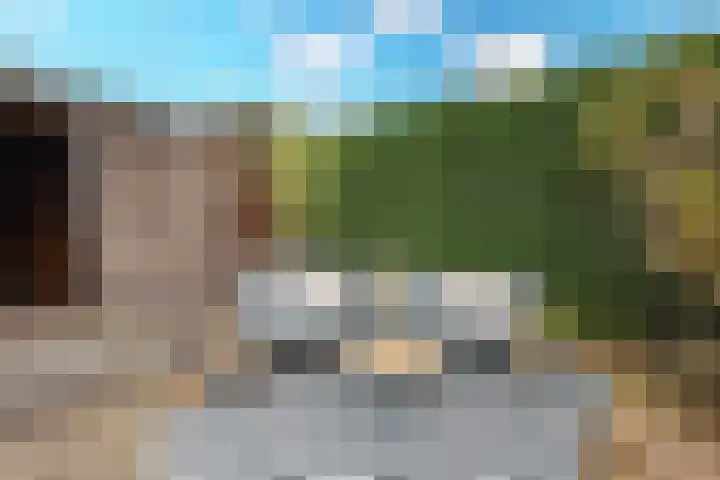 Klavergriend 29 Almere thumbnail 32