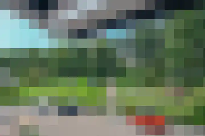 Klavergriend 29 Almere thumbnail 38
