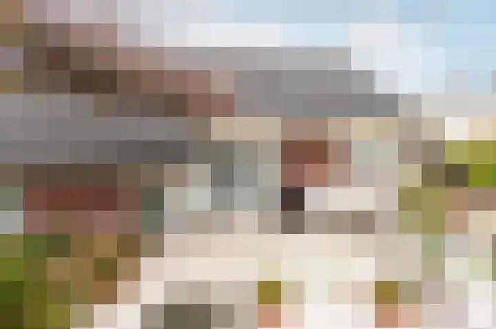 Klavergriend 38 B Almere thumbnail 35