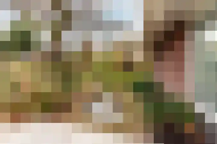 Klavergriend 38 B Almere thumbnail 36