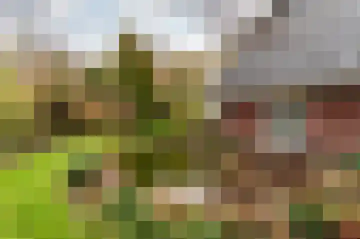Klavergriend 38 B Almere thumbnail 37