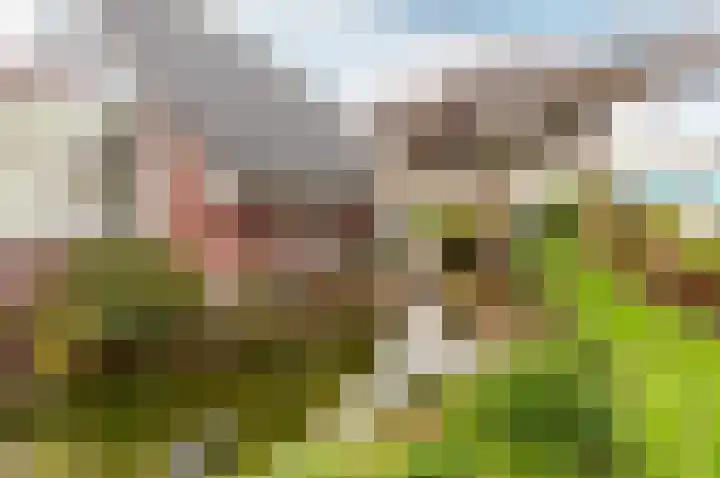 Klavergriend 38 B Almere thumbnail 38
