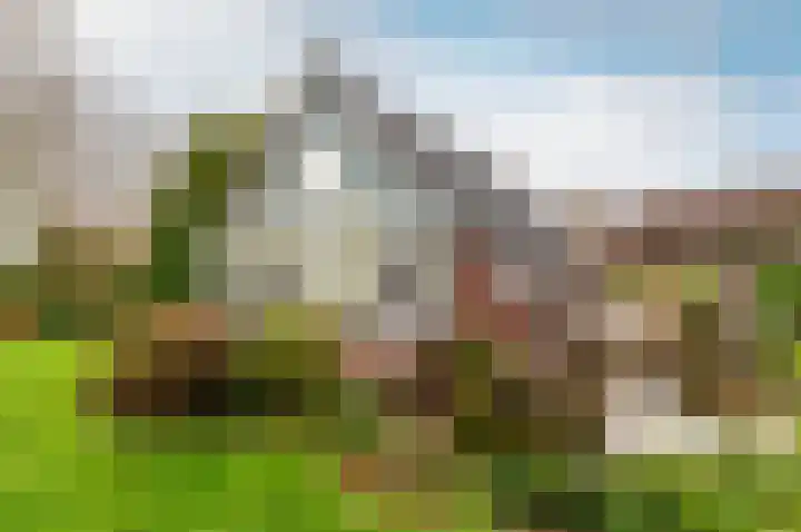 Klavergriend 38 B Almere thumbnail 39