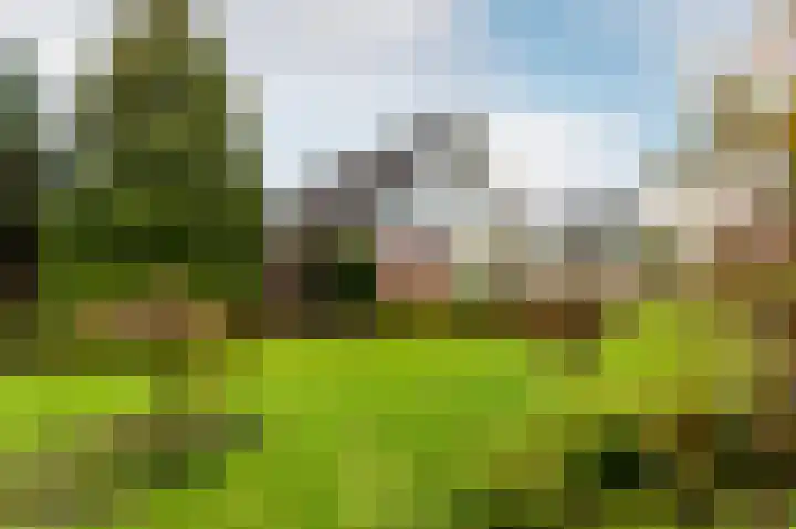 Klavergriend 38 B Almere thumbnail 43