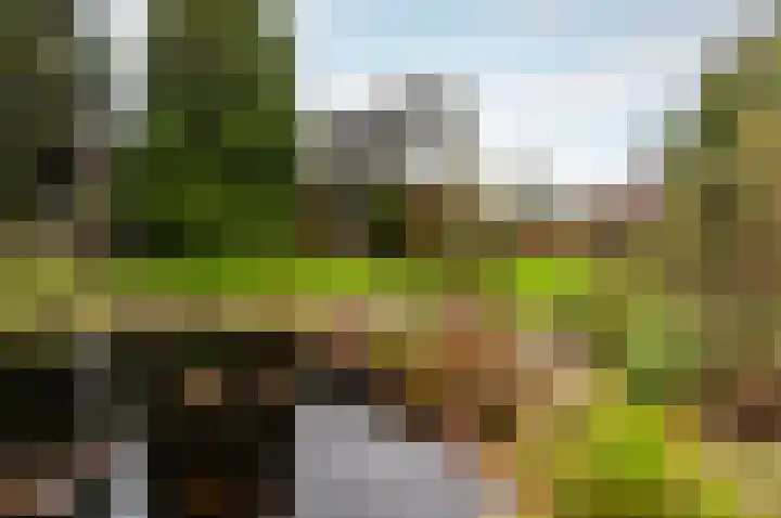 Klavergriend 38 B Almere thumbnail 6