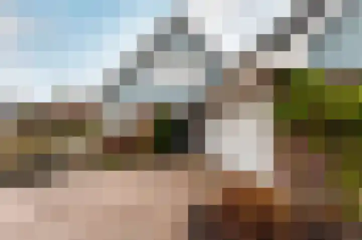 Klavergriend 38 B Almere thumbnail 8