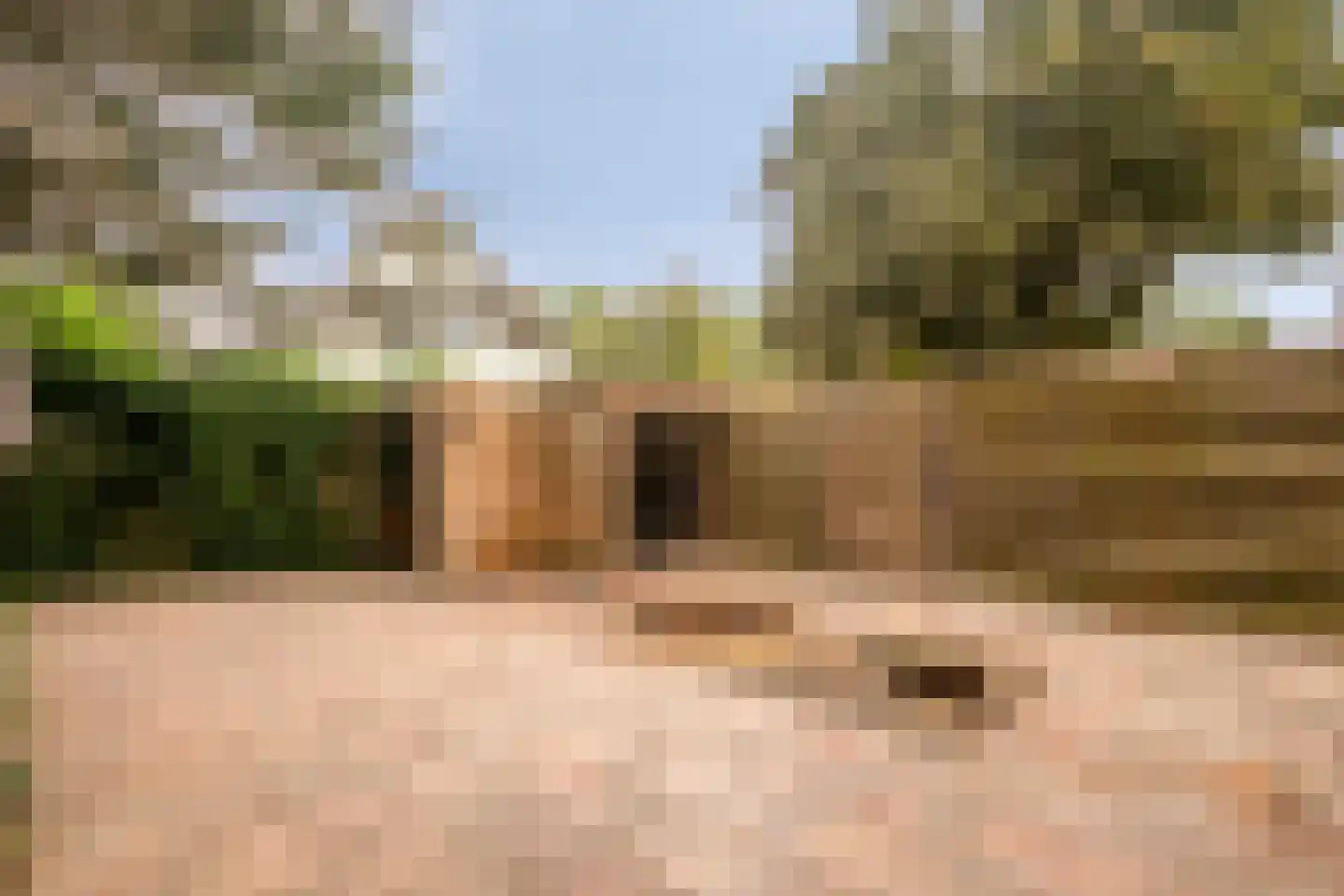 Klavergriend 65 Almere thumbnail 38